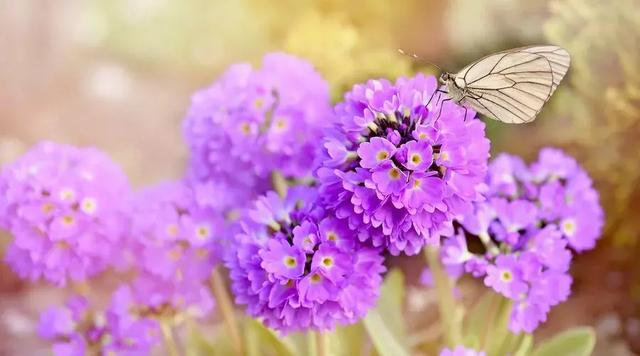 做人：背後不說人，一生不害人！