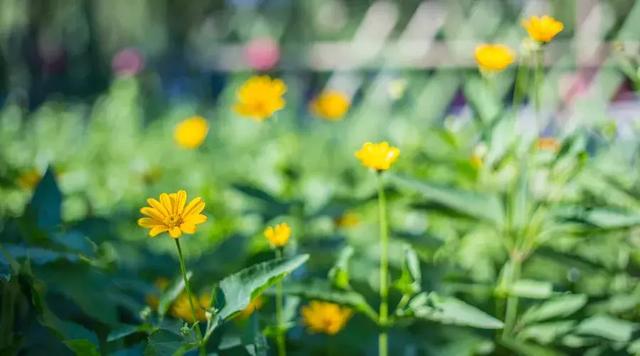 做人：背後不說人，一生不害人！