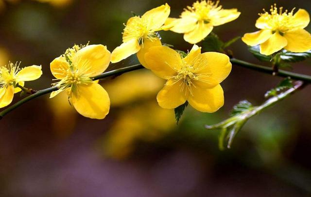 當你感到孤獨的時候，要習慣一個人獨行