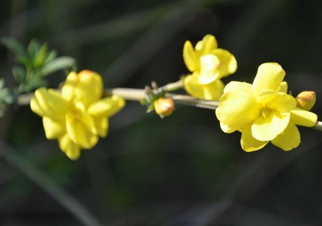 當你感到孤獨的時候，要習慣一個人獨行
