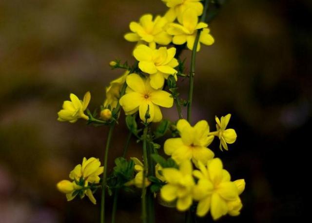 當你感到孤獨的時候，要習慣一個人獨行