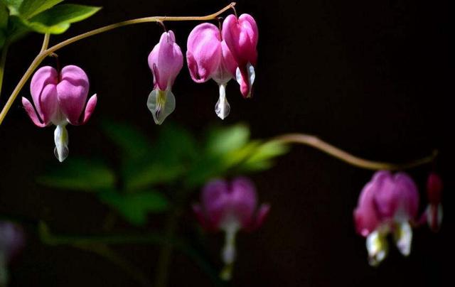 捨得對自己狠心的人，才能擁有高配的人生