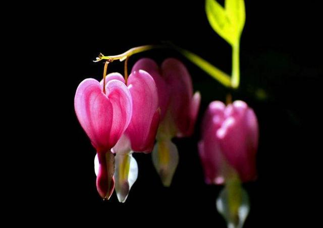 捨得對自己狠心的人，才能擁有高配的人生