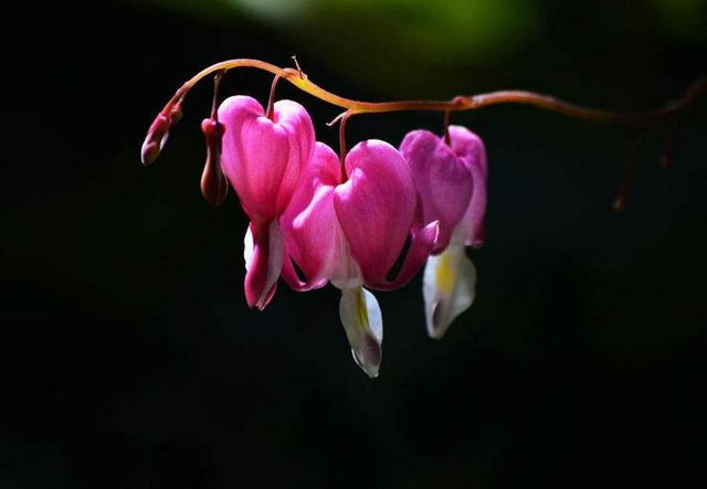 捨得對自己狠心的人，才能擁有高配的人生