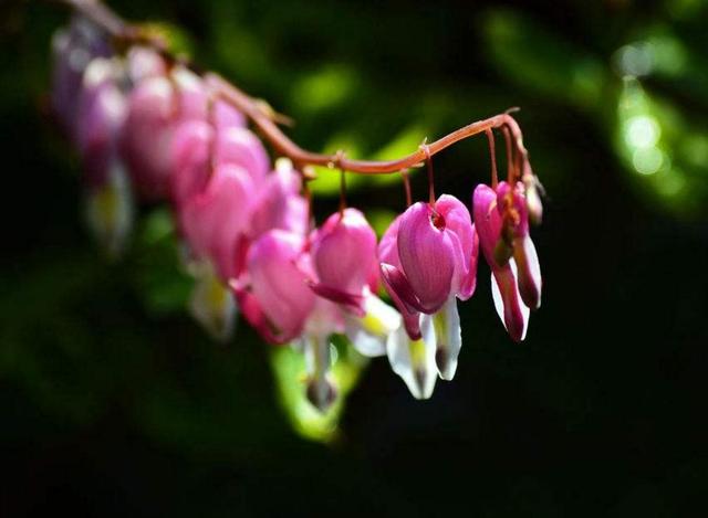 捨得對自己狠心的人，才能擁有高配的人生