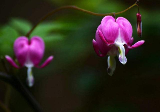 捨得對自己狠心的人，才能擁有高配的人生