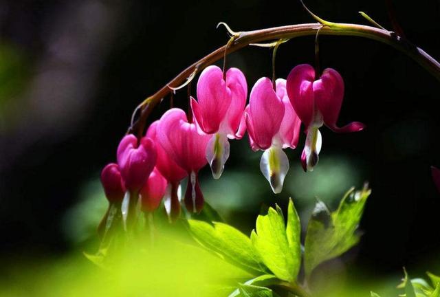 捨得對自己狠心的人，才能擁有高配的人生