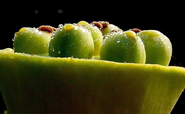 懂得慈悲的人，往往是受過傷的人