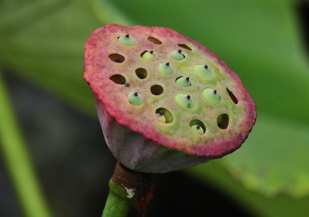 懂得慈悲的人，往往是受過傷的人