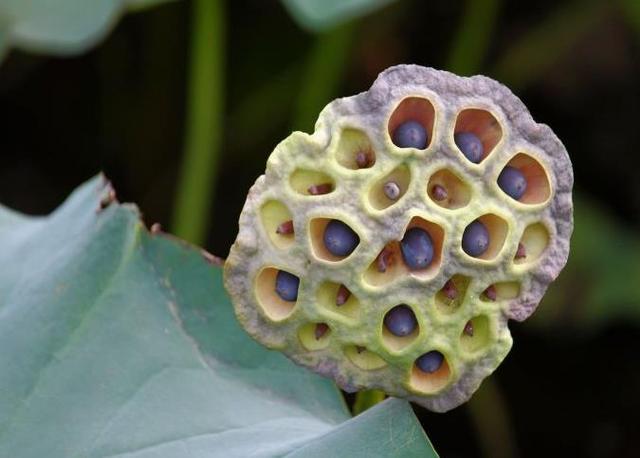 懂得慈悲的人，往往是受過傷的人