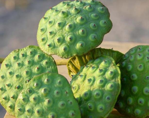 懂得慈悲的人，往往是受過傷的人