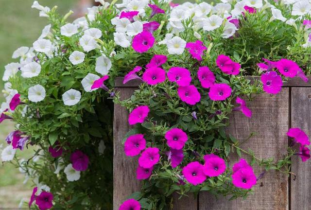 低下頭來，你的貴氣就來了