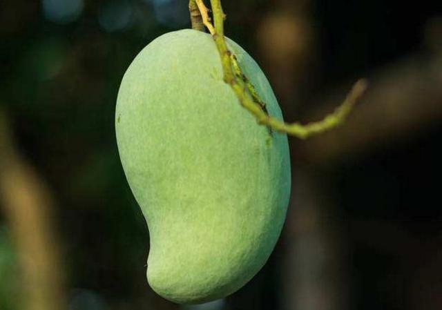 你以為我是笑而不語，其實我是痛而不言