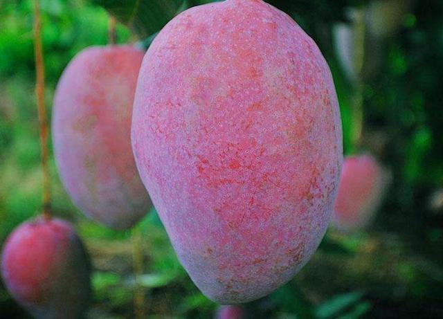 你以為我是笑而不語，其實我是痛而不言