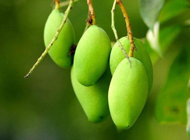 你以為我是笑而不語，其實我是痛而不言