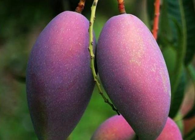 你以為我是笑而不語，其實我是痛而不言