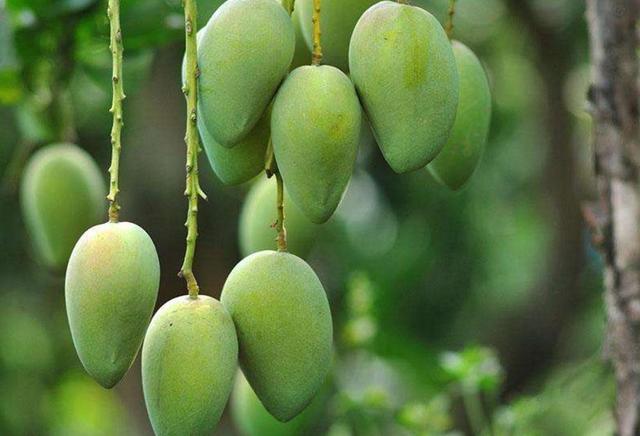 你以為我是笑而不語，其實我是痛而不言