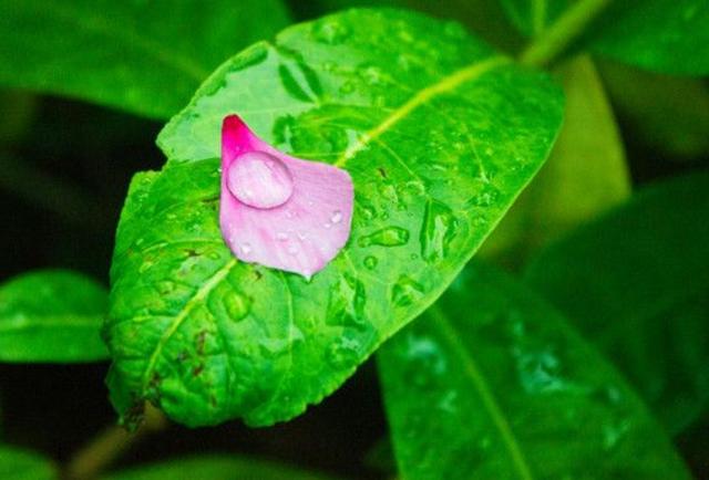 心涼了，生活，也安靜了