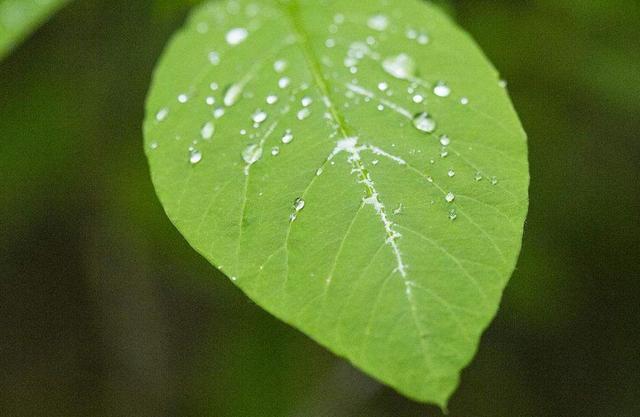 心涼了，生活，也安靜了