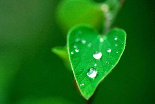 心涼了，生活，也安靜了