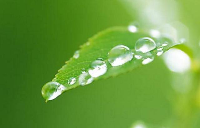 心涼了，生活，也安靜了