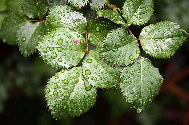 心涼了，生活，也安靜了