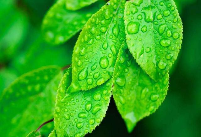 心涼了，生活，也安靜了