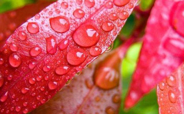 心涼了，生活，也安靜了