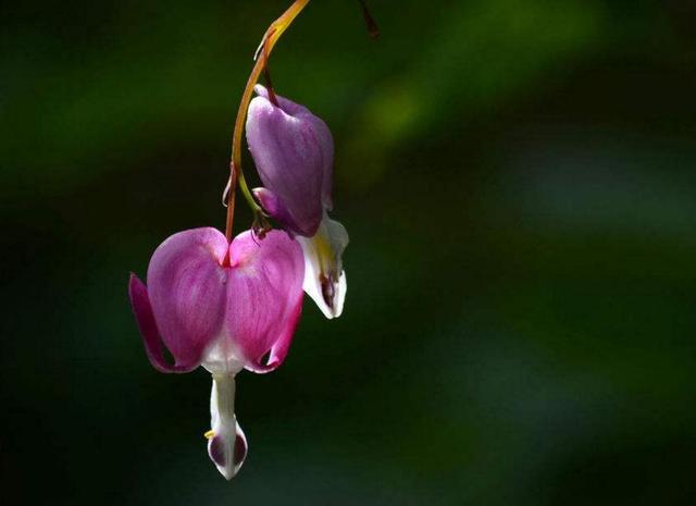 捨得對自己狠心的人，才能擁有高配的人生