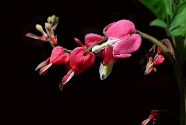 捨得對自己狠心的人，才能擁有高配的人生