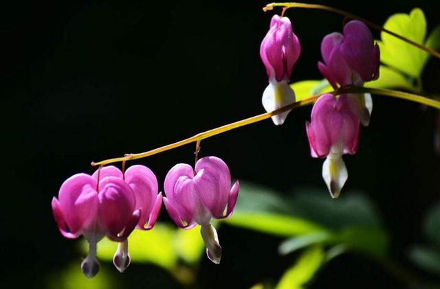 捨得對自己狠心的人，才能擁有高配的人生