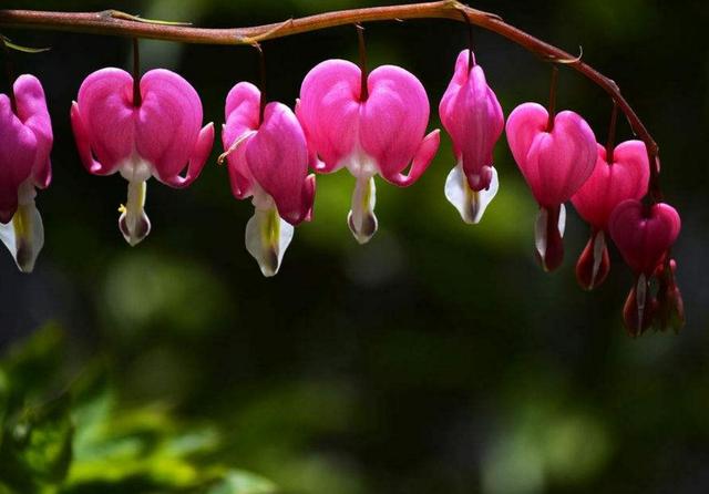 捨得對自己狠心的人，才能擁有高配的人生