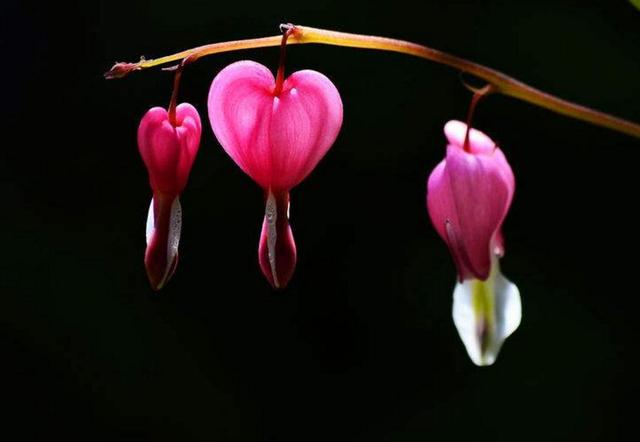 捨得對自己狠心的人，才能擁有高配的人生