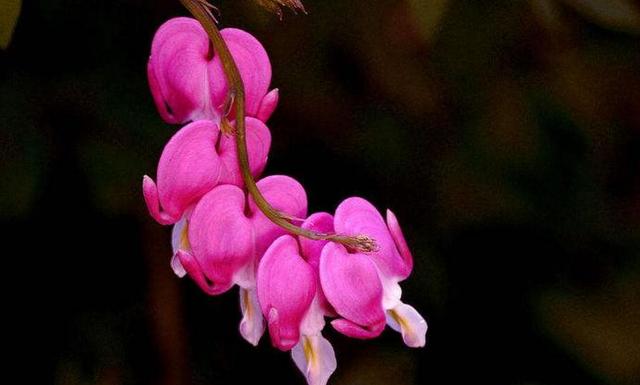 捨得對自己狠心的人，才能擁有高配的人生