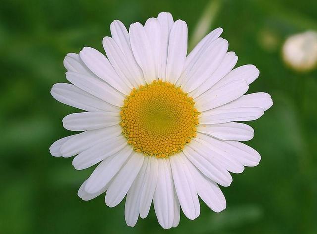 有些“幸福”很痛苦，要懂得早點放棄