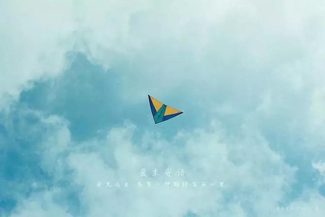 我不傻，只是不想較真