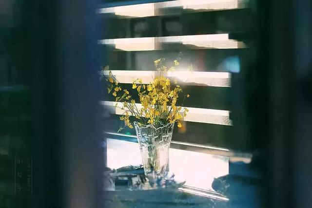 我不傻，只是不想較真