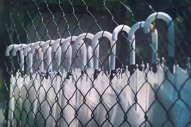 我不傻，只是不想較真