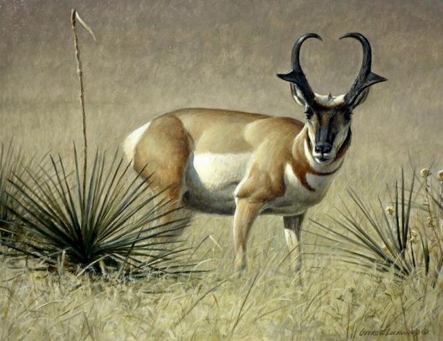 美國畫家GeorgeLockwood繪畫作品