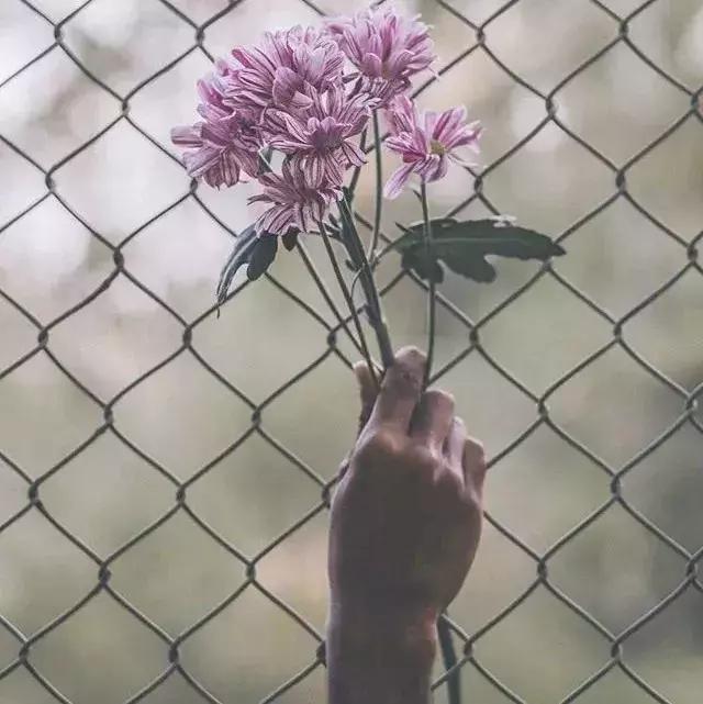 你幫人，人感恩，愛人者，人恆愛之！