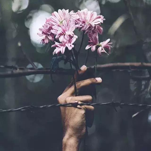 你幫人，人感恩，愛人者，人恆愛之！