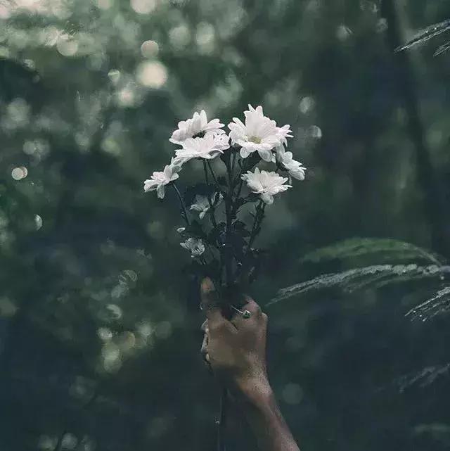 你幫人，人感恩，愛人者，人恆愛之！