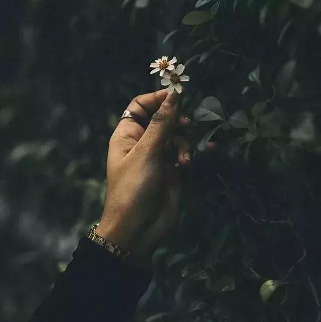 你幫人，人感恩，愛人者，人恆愛之！