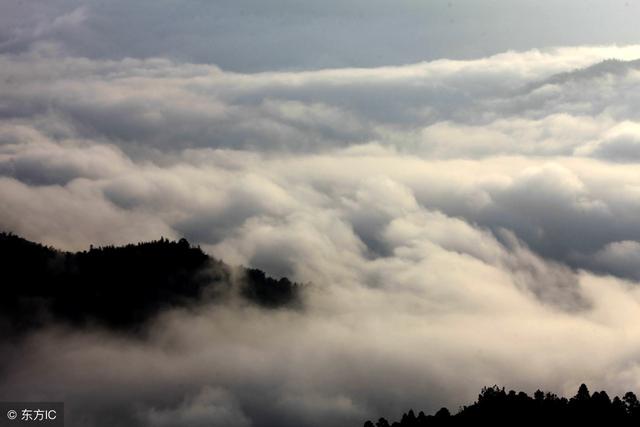 與你討厭的人相處，記住這6個字，不但心情愉快，而且不留閒話！