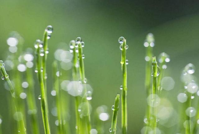 秋天到了,做好這三件事,你的福報也到了