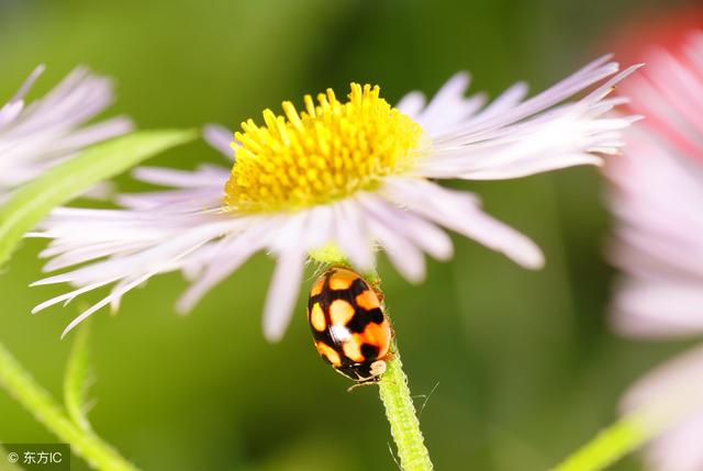 做人的底線，就7句！