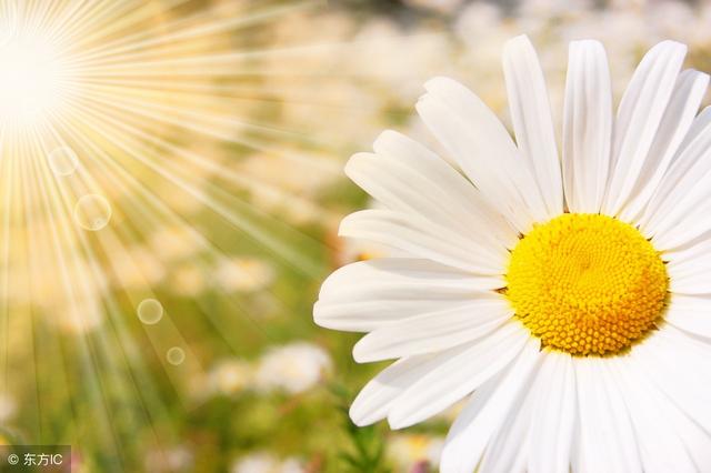 做人的底線，就7句！