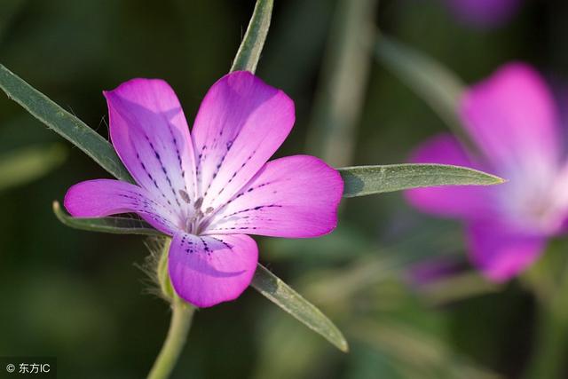 做人的底線，就7句！
