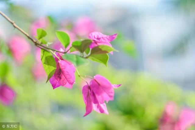 做人的底線，就7句！