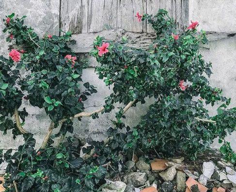 只有回不去的過往，沒有到不了的明天！